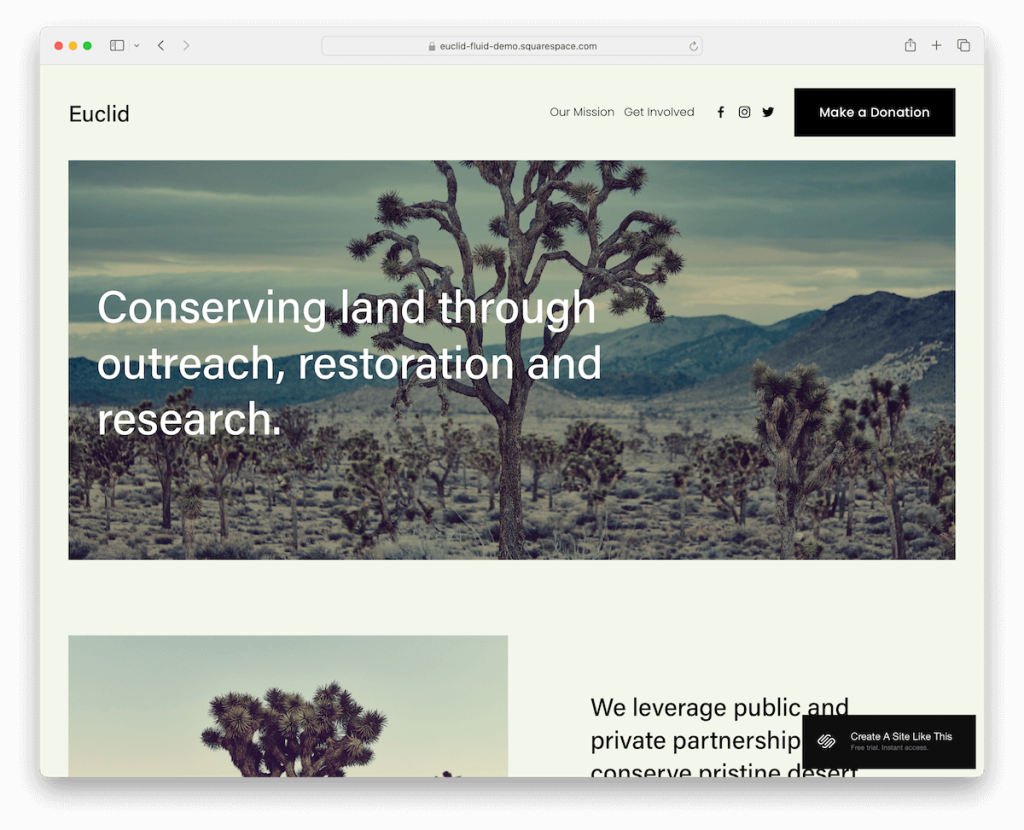 szablon organizacji non-profit euclid Squarespace