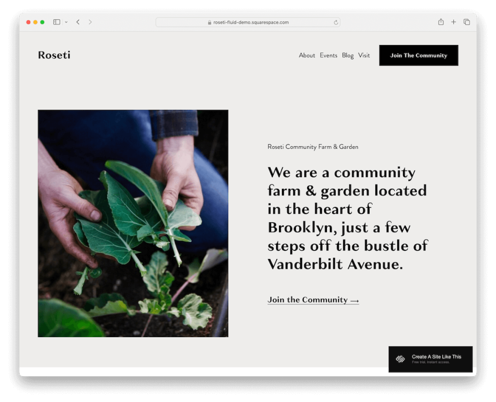 plantilla sin fines de lucro roseti squarespace