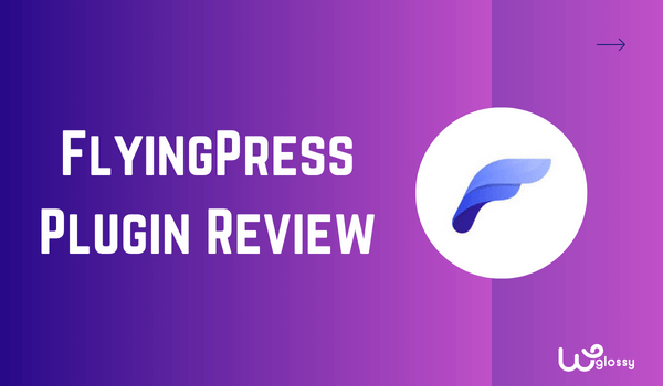FlyingPress-Rezension