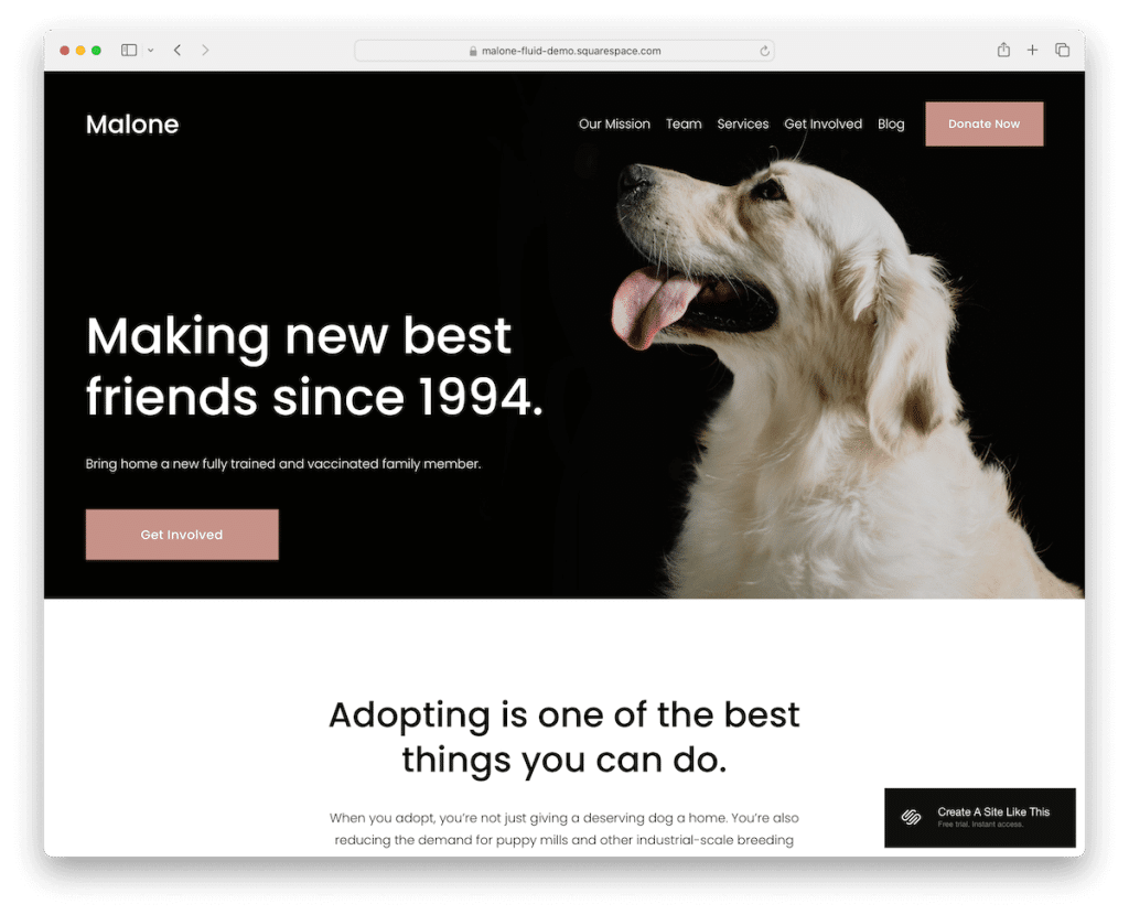 Шаблон некоммерческой организации Malone Squarespace