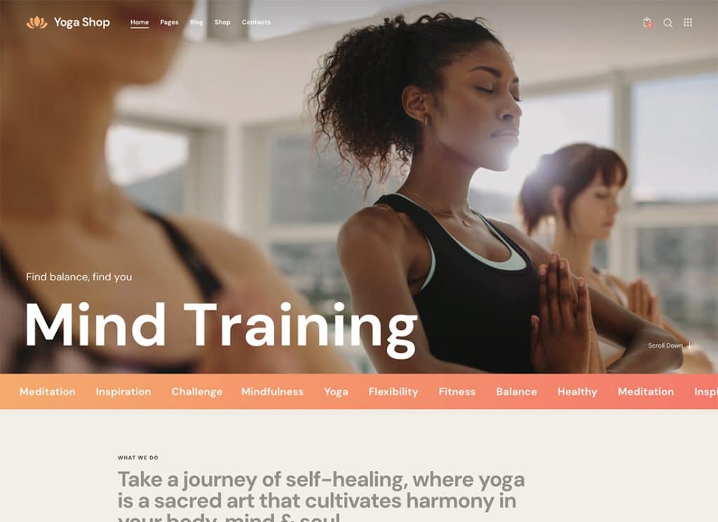 Yoga Shop - Tema de WordPress para estudio de yoga, gimnasio y tienda de equipos