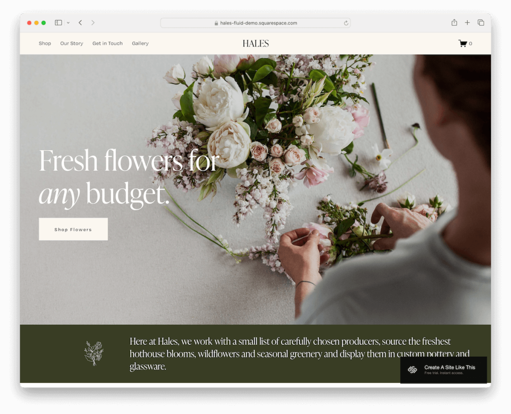 negozio di modelli Hales Squarespace