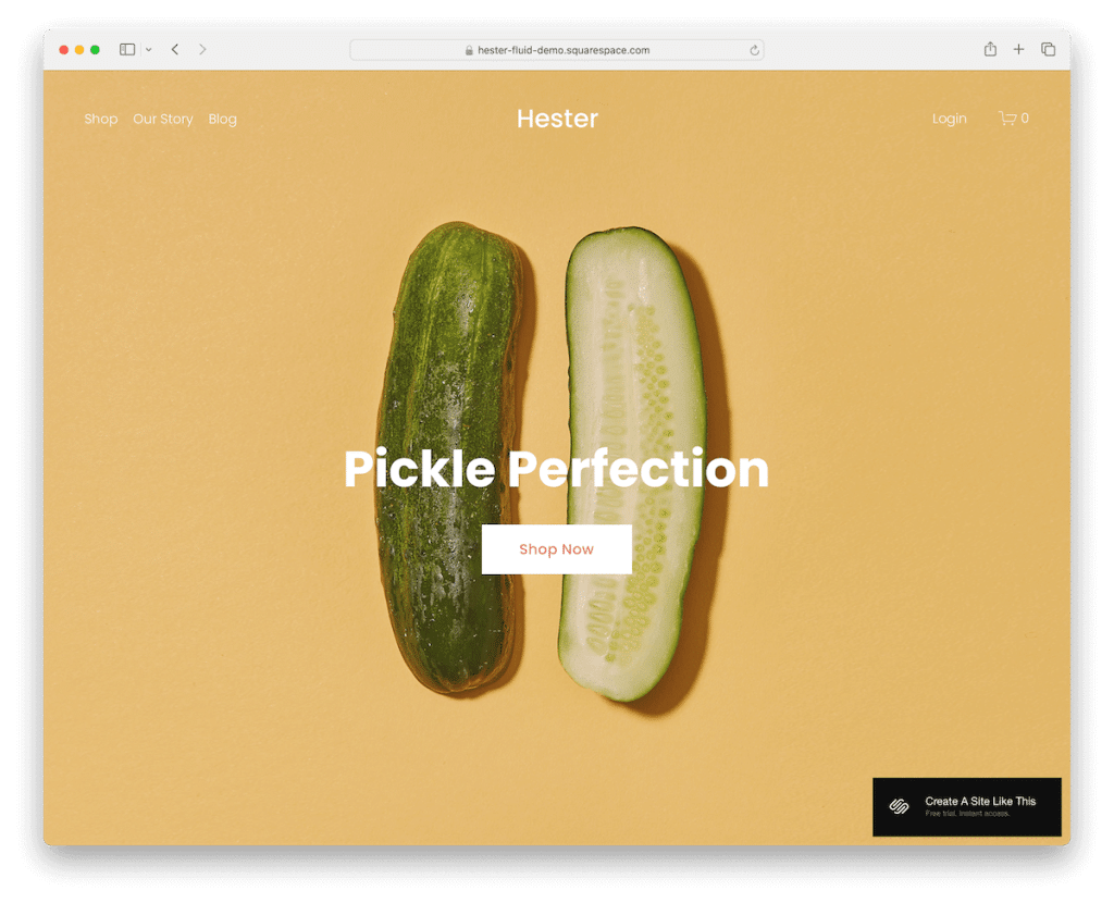 loja de modelos hester squarespace