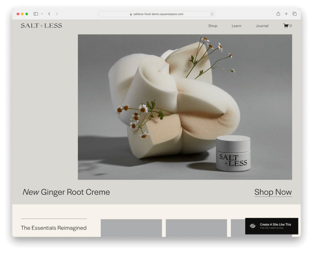 loja de modelos de squarespace sem sal