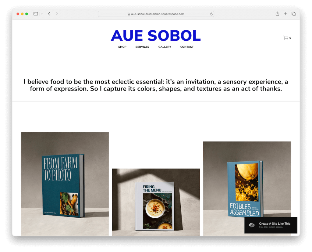 ร้านเทมเพลต aue sobol squarespace