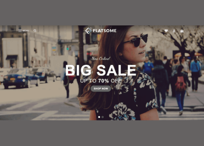 11 melhores temas e modelos de moda WooCommerce para WordPress 9 New Project 19