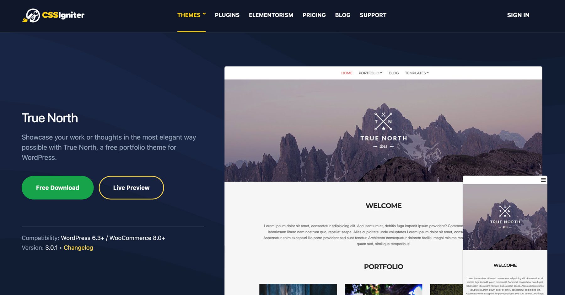 ธีม WordPress ที่ดีที่สุดของ True North สำหรับผู้เริ่มต้น