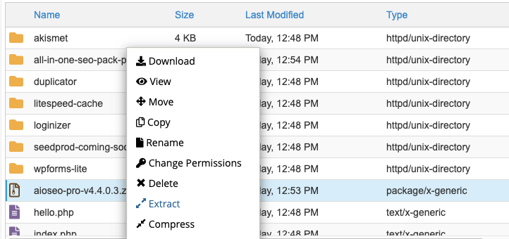 Extrageți fișierul plugin în cPanel