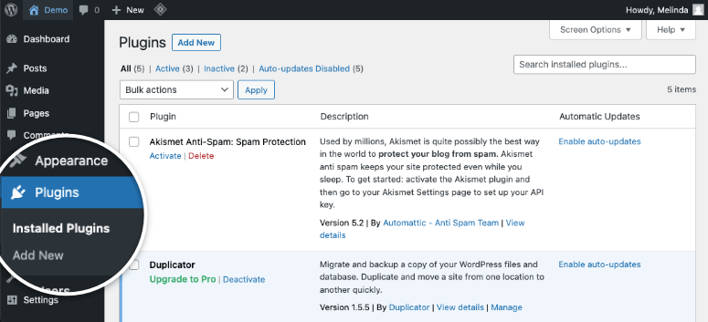 Pagina de pluginuri în WordPress