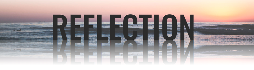 文本和圖像的divi反射