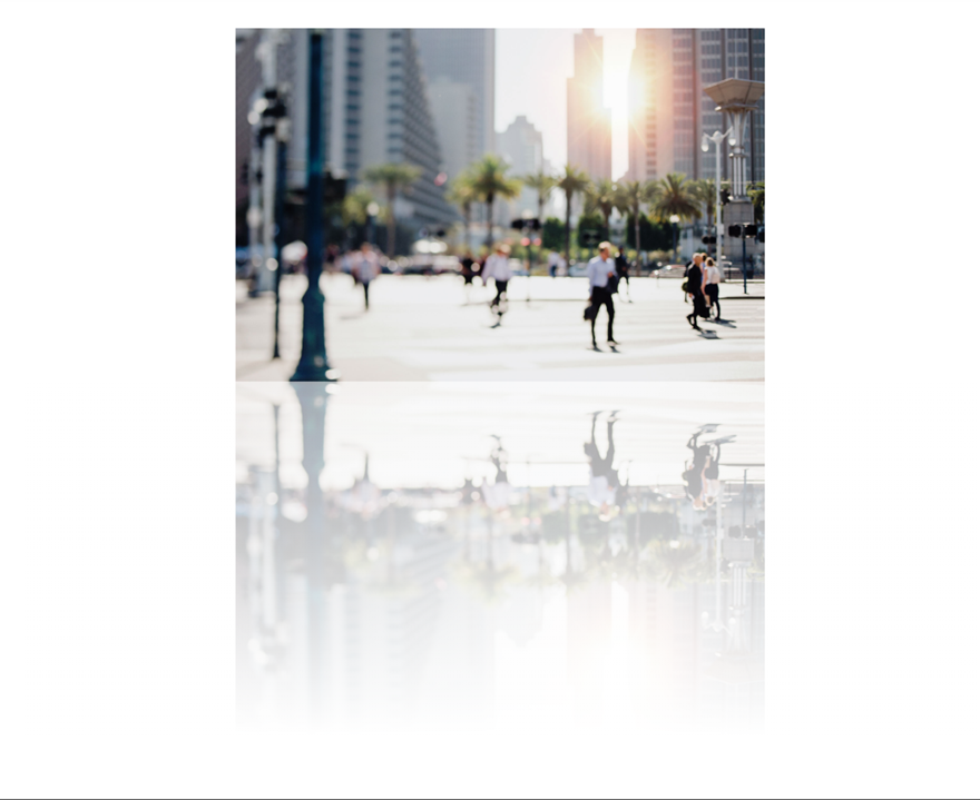 文本和圖像的divi反射