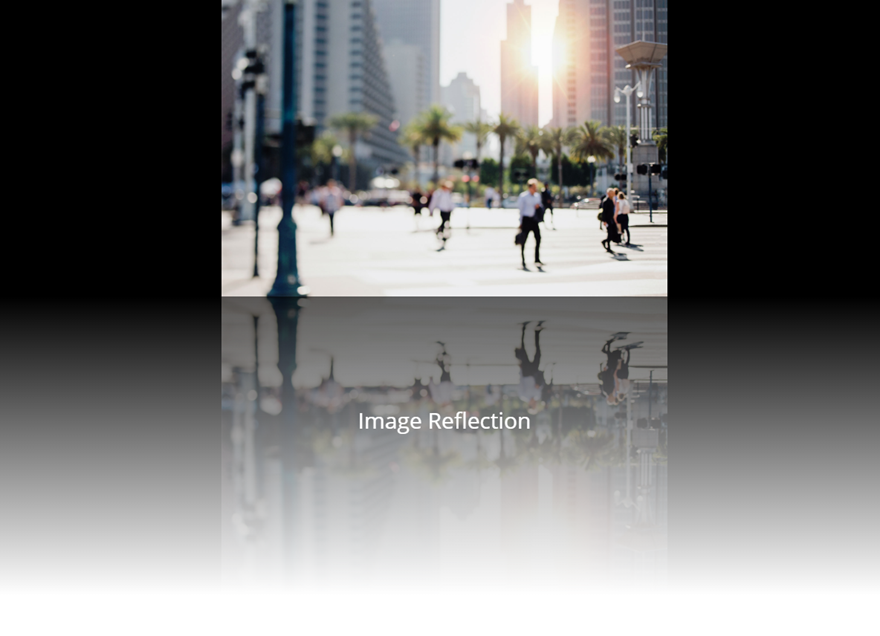 文本和圖像的divi反射