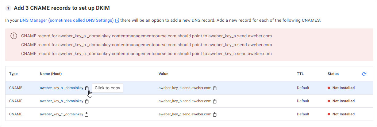 Registros CNAME fornecidos pelo provedor de serviços de e-mail sendo copiados para a área de transferência.