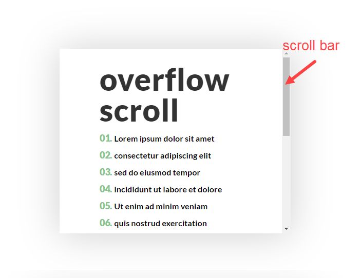 خيارات تجاوز divi