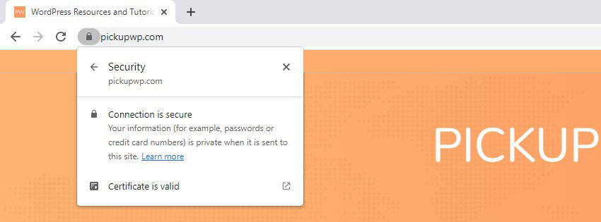 由 SSL 和 HTTPs 保護的站點