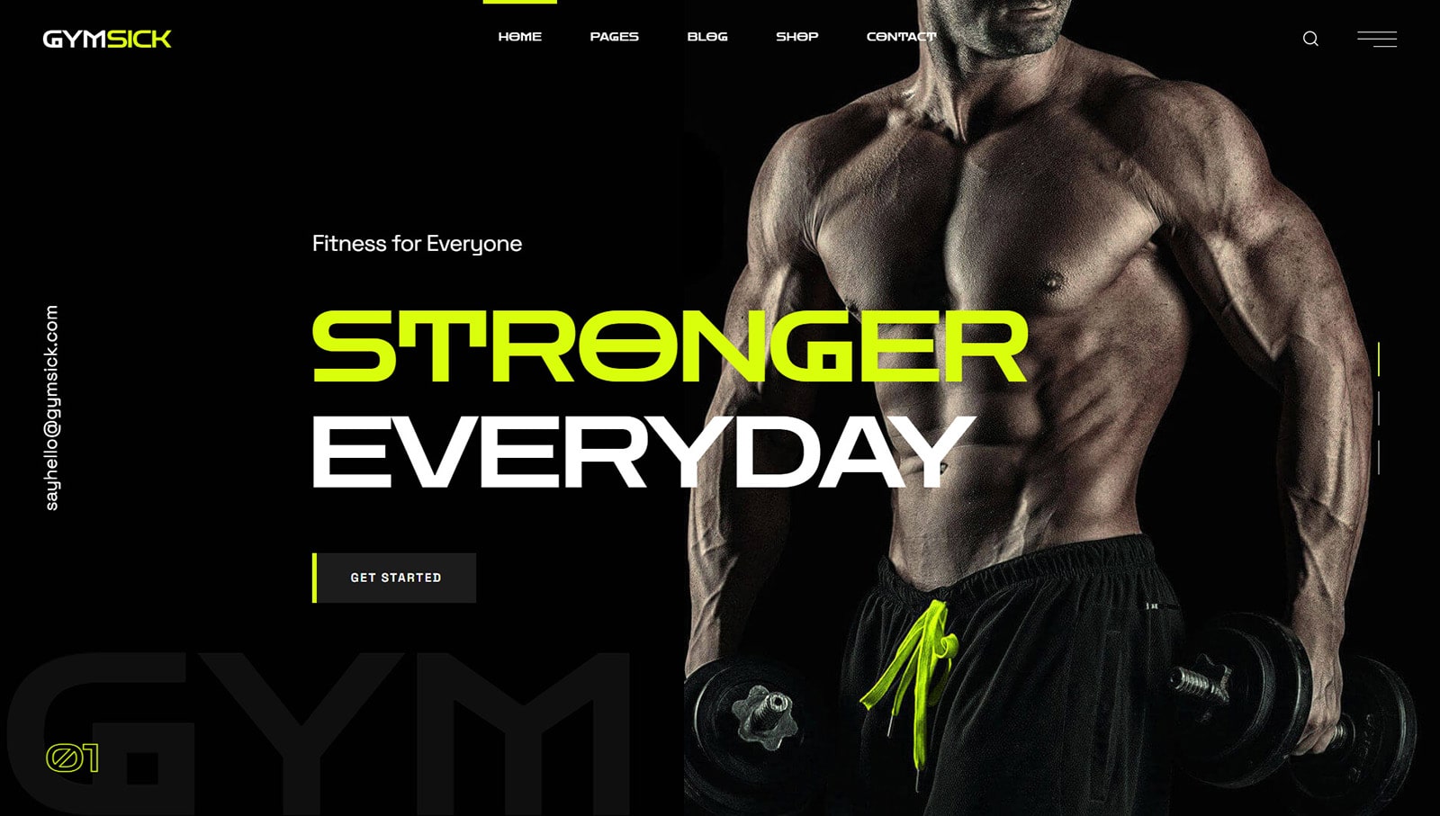 반응형 체육관 웹사이트 디자인을 제공하는 WordPress 테마인 Gymsick의 초상화.