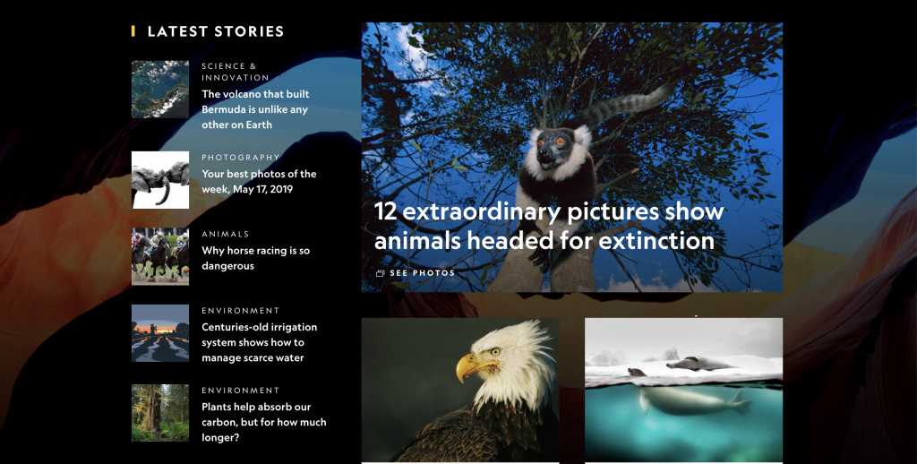 Золотое сечение