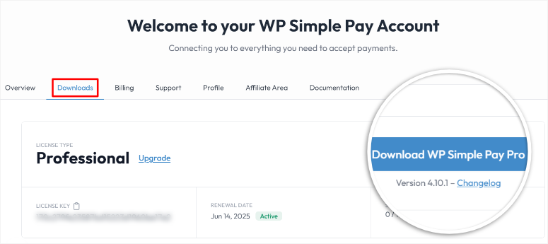 wp-simple-pay-download-zip - IsItWP - Detector de temas de WordPress gratuito wp simple pay download zip