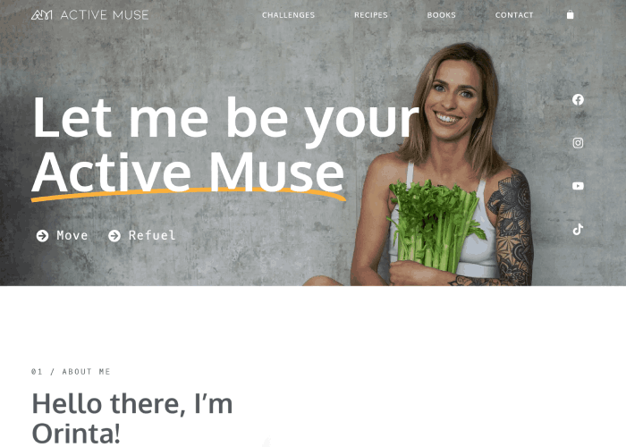 23 belos exemplos de sites criados com Elementor 21 Active muse