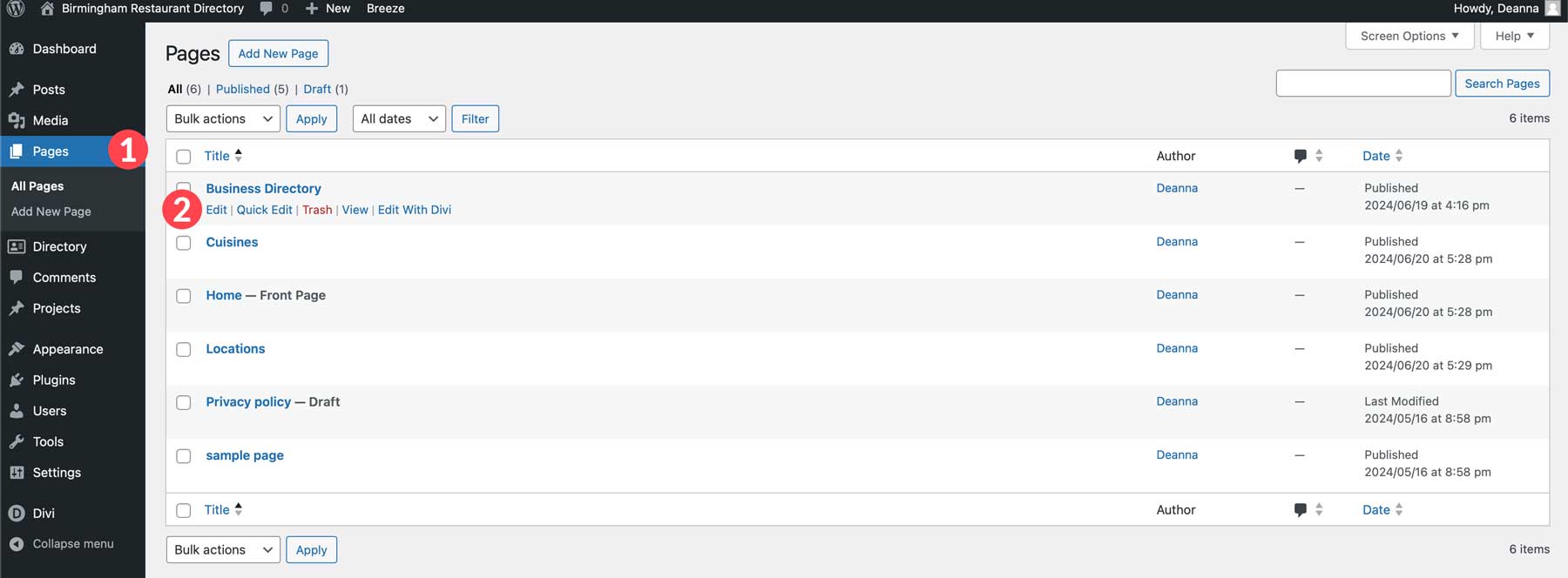 wordpress ile dizin sitesi nasıl yapılır