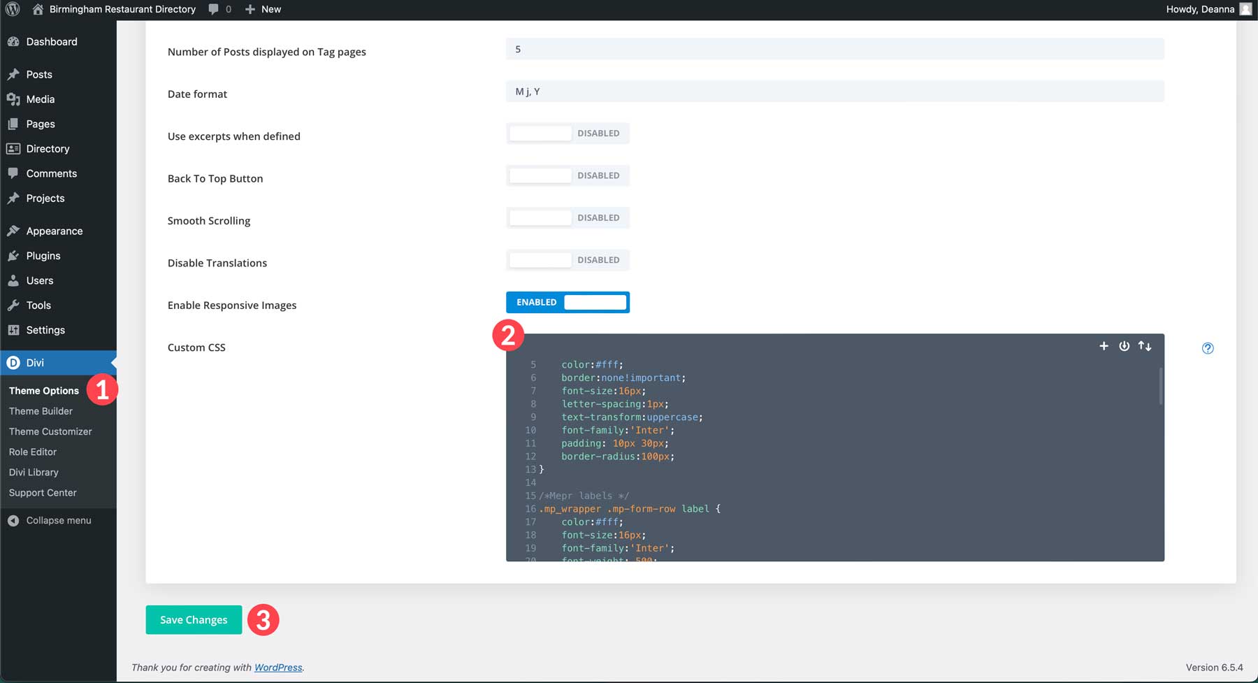 Divi'nin özel CSS'si