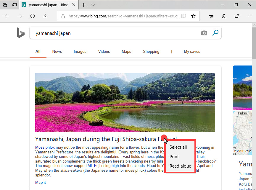 edge 无法将网站下载为 html