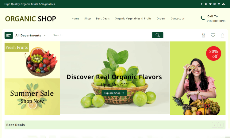 WordPress 用の 7 つの最高のオーガニック食品 WooCommerce テーマ 3 organic shop