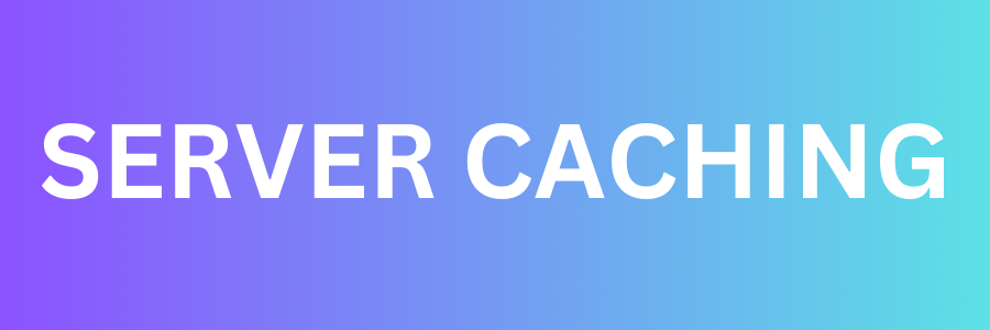 Mise en cache du serveur et mise en cache du navigateur : différence clé et plus encore 2 Server caching