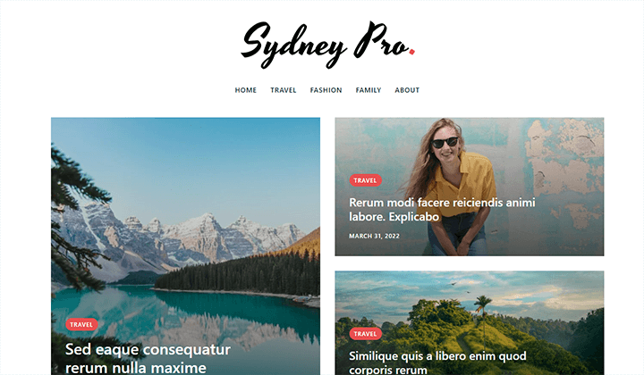 网站类型细分与现实生活示例 7 sydney blog 21