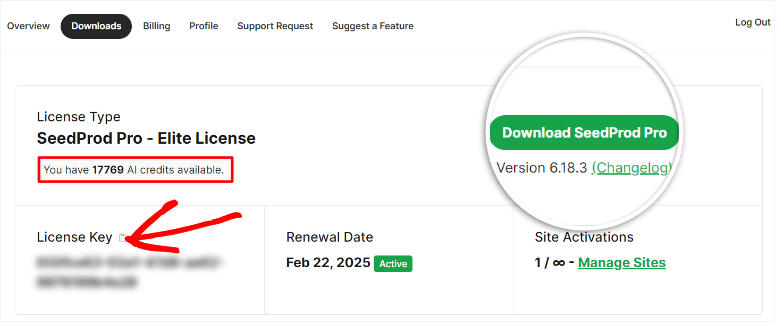 Seedprod-purchase-ai-credits - IsItWP - 免費 WordPress 主題偵測器 seedprod purchase ai credits