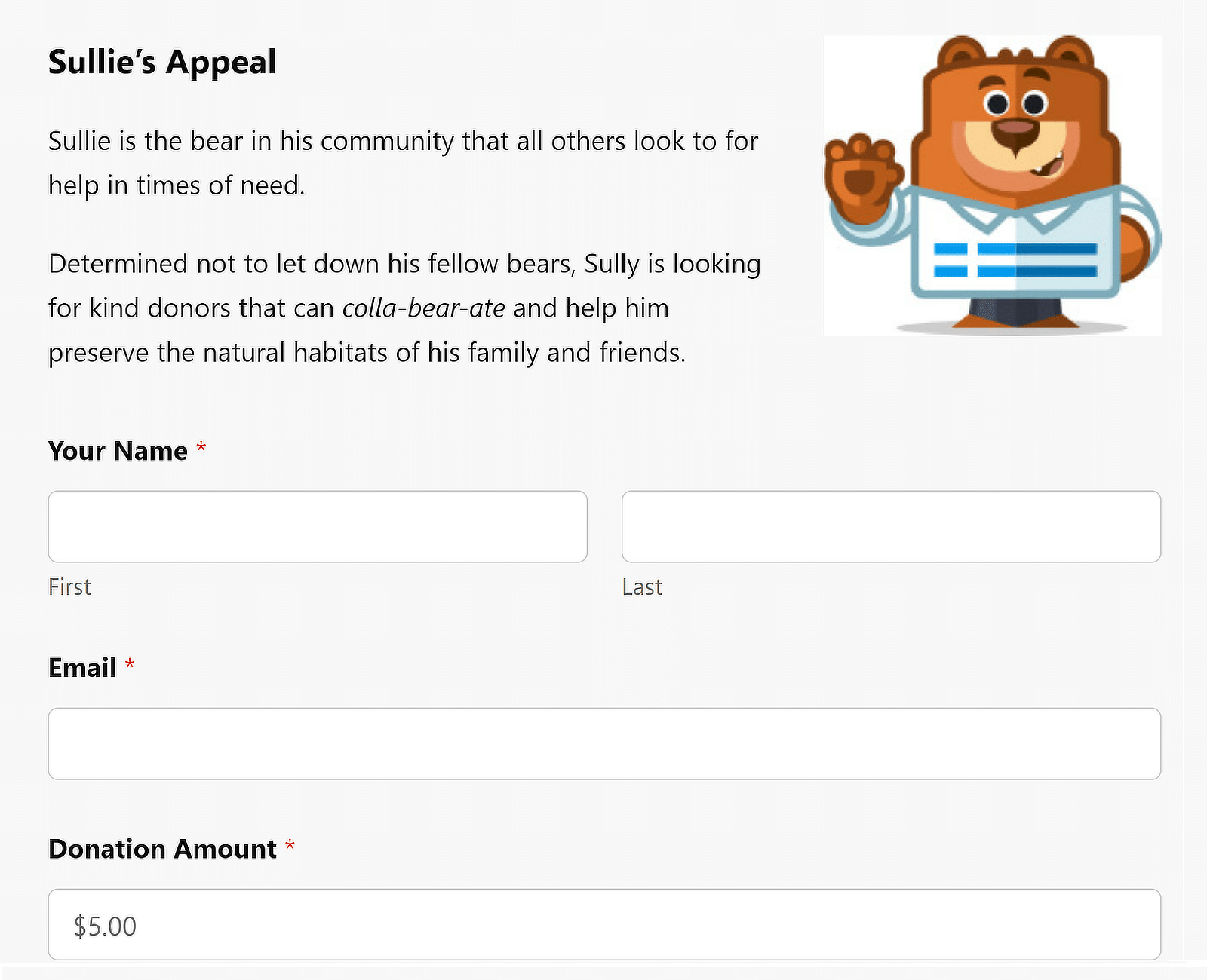 ตัวอย่างแบบฟอร์มการบริจาคใน WPForms - WPForms WPForms donation form example