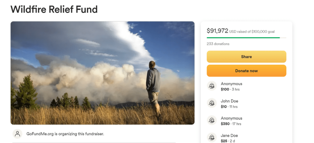 GoFundMe - WPForms GoFundMe