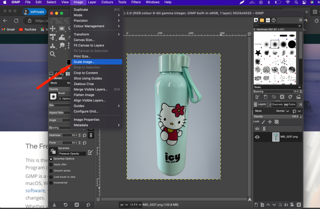 Ceci est une capture d'écran de l'option d'échelle d'image dans Gimp