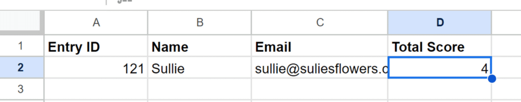 รายการ Google ชีต - WPForms Google sheet entry