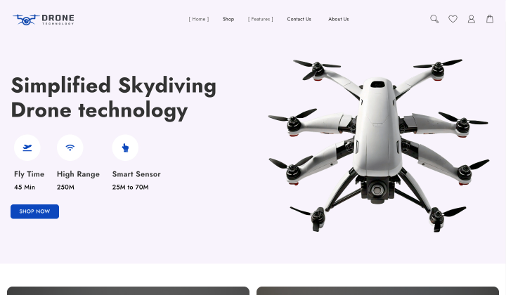 12+ 激发您在线业务的最佳 WooCommerce 商店示例 7 Drone Website Template for WordPress