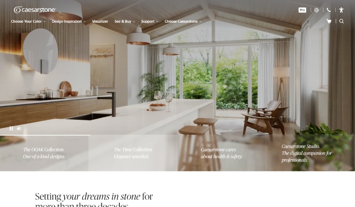 12+ 个最佳 WooCommerce 商店示例可激发您的在线业务 6 Caesarstone