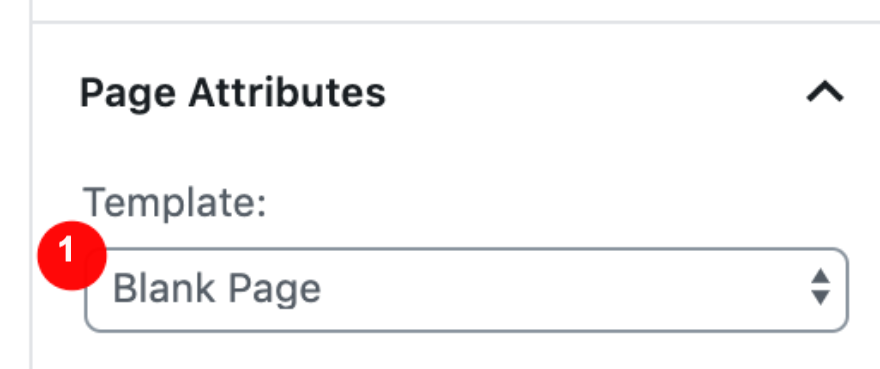 Diviページ属性のスクリーンショット-空白ページ