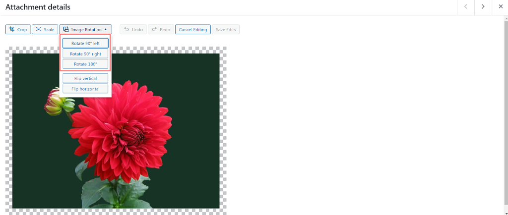Come modificare e ridimensionare le immagini in WordPress? Esercitazione rapida 5 Rotating an image in WordPress