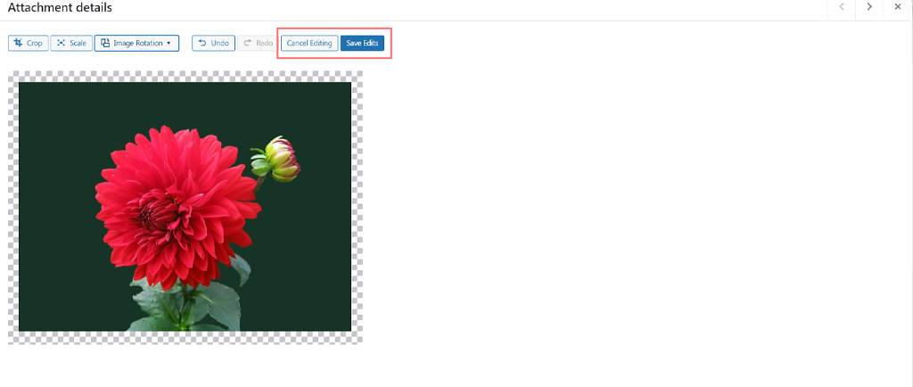 Come modificare e ridimensionare le immagini in WordPress? Esercitazione rapida 15 Restoring images to its original version in WordPress