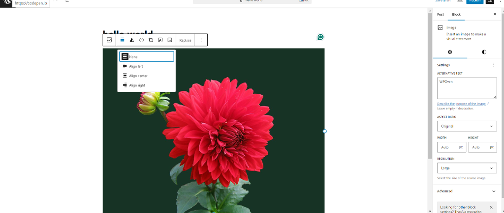 Come modificare e ridimensionare le immagini in WordPress? Esercitazione rapida 9 Aligning an image in WordPress