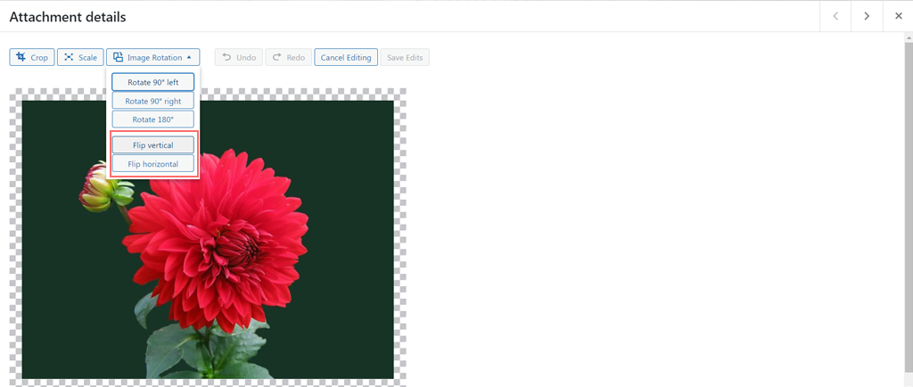 Come modificare e ridimensionare le immagini in WordPress? Esercitazione rapida 8 Flipping an image in WordPress