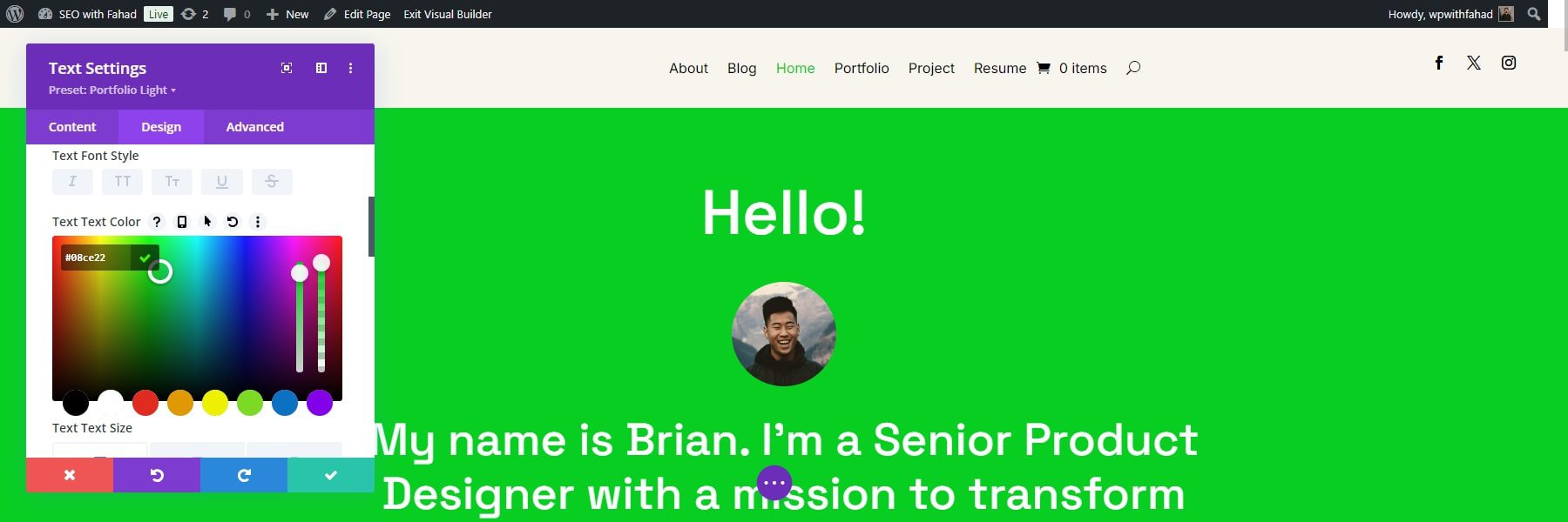 portofolio divi warna primer global utama