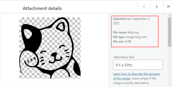 วิธีอัปโหลดไฟล์ SVG ไปยังเว็บไซต์ WordPress อย่างปลอดภัย 9 Upload SVG Files to Your WordPress Site