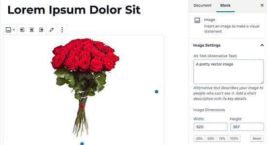 วิธีอัปโหลดไฟล์ SVG ไปยังเว็บไซต์ WordPress อย่างปลอดภัย 12 Upload SVG Files in a Post or Page