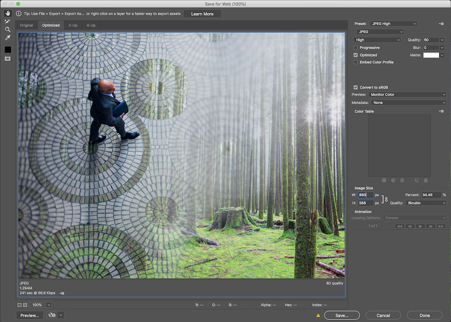 Screenshot von Save for Web