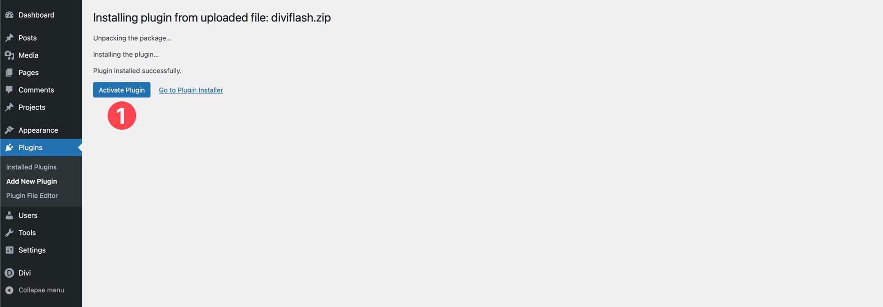 aktifkan plugin