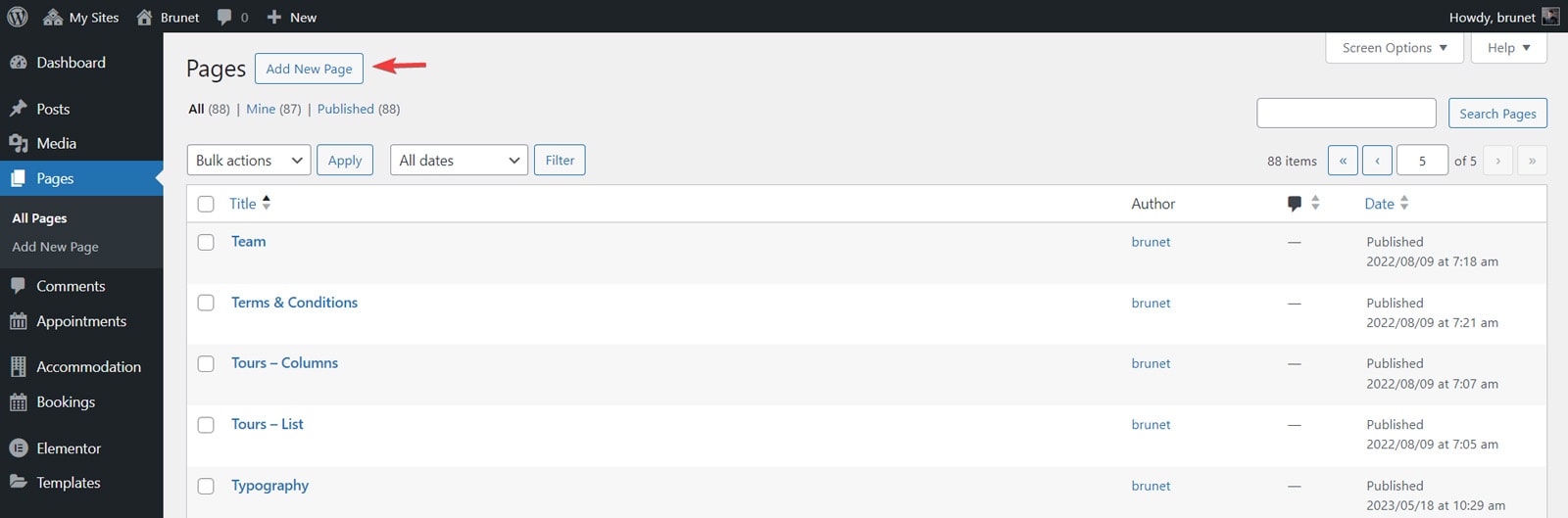 Seyahat acentası web sitesi oluşturmak isteyenler için yönetici panosundaki Sayfalar bölümünün çizimi.