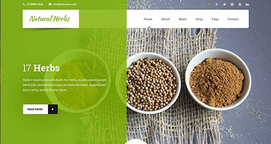 Natürliches Wordpress-Theme