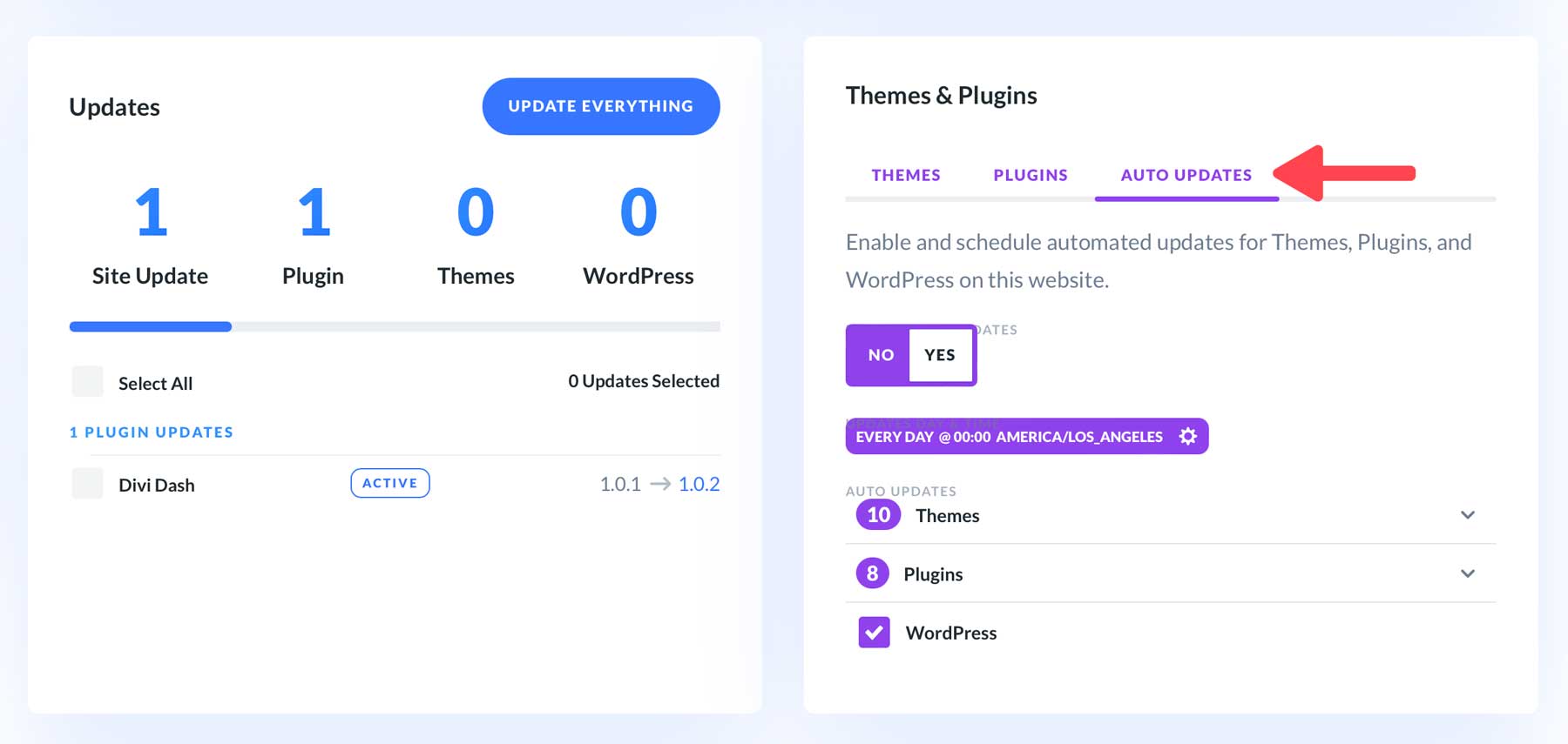 تحديثات Divi Dash التلقائية