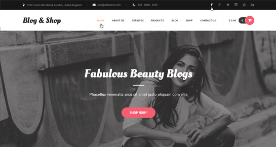 บล็อกและร้านค้า - ธีม WordPress บล็อกแฟชั่น